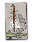 Ace of Wands